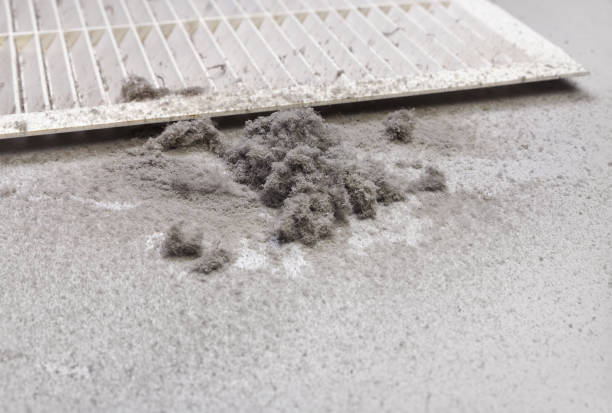 Home Air Vent Cleaning in Palmerton, PA