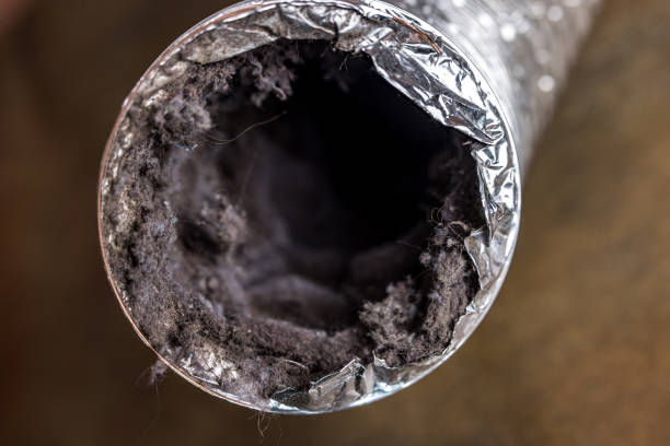 Best Home Air Vent Cleaning  in Lmerton, PA