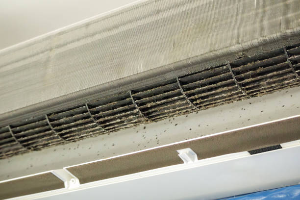 Best Affordable Air Duct Cleaning  in Lmerton, PA